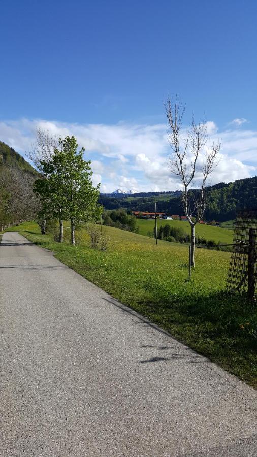 Fewo Friado Im Ferienpark Oa - Ohne Zusatzkosten Nach Anreise - Mit Hallenbad, W-Lan, Pkw-Garage, Kurtaxe Mit Allgaeu-Walser-Pass, Bett- Und Handtuch-Waesche Sowie End-Reinigung Missen-Wilhams Exterior photo